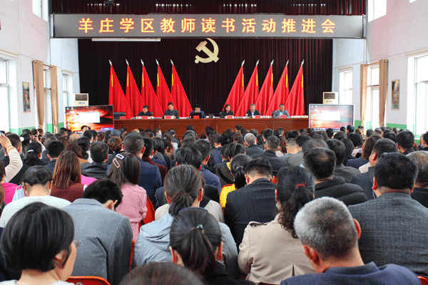 滕州市羊庄镇镇长引领发展，铸就辉煌新篇章