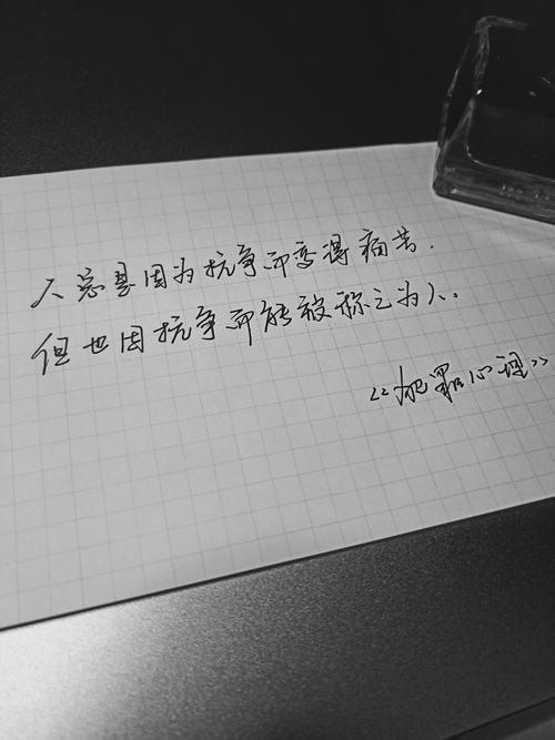 犯罪心理长洱最新章节深度解析与观点阐述